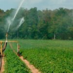 Los primeros en pagar el cambio en la factura eléctrica será el regadío: Se pagará entre un 5 y hasta un 30% más