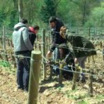 Acuerdo para fomentar la Formación Profesional y el relevo generacional en el sector agrario andaluz