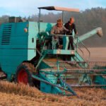 Un frenazo en seco en las cotizaciones mayoristas de cereal, con bajadas en todas las categoría salvo el maíz y cebada de malta