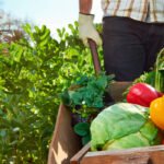 Savia quiere diálogos nacionales para la cumbre de la ONU donde se decidirá el modelo alimentario de las próximas décadas