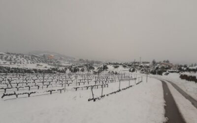 El Gobierno aprueba 509,5 M€ de ayudas para resarcir los daños de la borrasca “Filomena” en enero