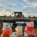 Advierten del descenso sostenido del cultivo de girasol en Castilla-La Mancha por la falta de rentabilidad