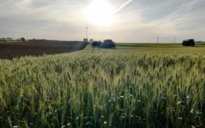 España presenta en Bruselas su plan oficial de recuperación y resiliencia