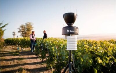Innovación en la agricultura: Sencrop reúne ahora los principales modelos meteorológicos en una sola aplicación
