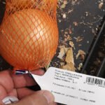 Las importaciones en la gran distribución desestabilizan la campaña de la cebolla, que amenaza con no recoger el producto