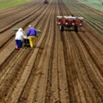 San Isidro, patrón de las mujeres y los hombres del campo