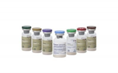 Calier presenta una nueva propuesta de biológicos para avicultura