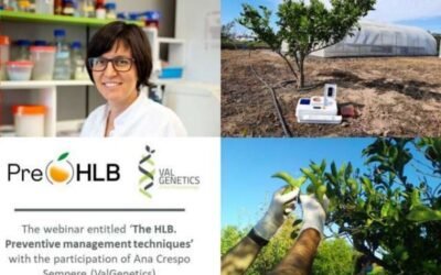 ValGenetics presenta sus avances en detección temprana y kits de detección contra el HLB