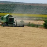 Nueva escalada en el precio de los cereales, que ya vértigo al no ser posible cuánto hay de realidad y cuánto de especulación