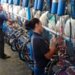 ¿Seguirá el ovino de leche los pasos del vacuno?