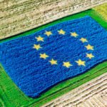 Solos ante el peligro