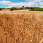 El cuñado de Esperanza Aguirre acusa a la expresidenta madrileña y a su marido de apropiarse de subvenciones millonarias de la PAC