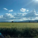 Castilla-La Mancha sigue los pasos de otras CCAA y anuncia que amplía el plazo de solicitud única de la PAC hasta el 31 de mayo