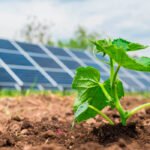 La ‘plaga solar’ en forma de nuevos macroparques fotovoltaicos se entiende en CyL con 8 proyectos más ante el enfado agrario