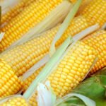 El maíz, que sube 12 euros en una semana, sigue siendo el motor de unas cotizaciones de los cereales que frenan algo sus subidas