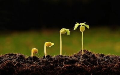 El CESE apoya las iniciativas para reducir los riesgos asociados a los fitosanitarios