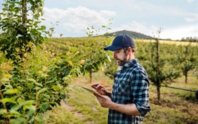 Farmable, la app gratuita para la gestión de cultivos leñosos, llega a España