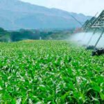 Extremadura convoca ayudas por 4 millones de euros para la implantación de sistemas eficientes de riego