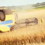 Previsiones sin variaciones significativas: El Ministerio rebaja al 1,8% el recorte de número de hectáreas de cereales