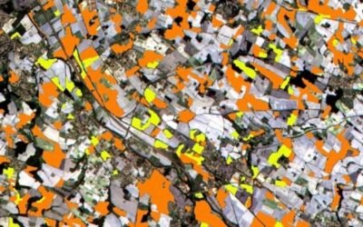 Se amplía la flexibilidad en la supervisión y control de ayudas directas del ejercicio PAC 2021 en la UE