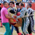 El Constitucional confirma la condena a la edil que llamó «asesino» en Facebook al torero Víctor Barrio tras su muerte