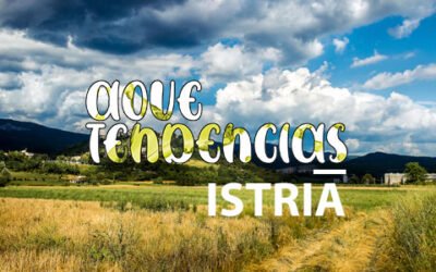 AOVETENDENCIAS Istria: el cultivo del olivo alcanza un estatus de culto