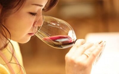 Remontada de las exportaciones vitivinícolas españolas en el primer trimestre, según el OeMv