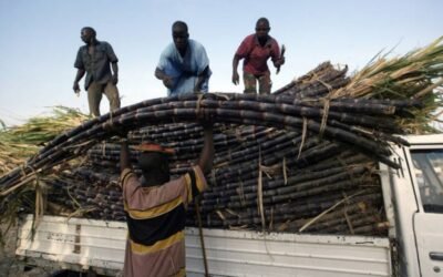 Los precios mundiales de los alimentos básicos del Índice FAO siguieron escalando en abril por onceavo mes consecutivo
