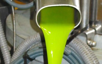Citoliva formará a las cooperativas sin experiencia en la producción de AOVEs de cosecha temprana