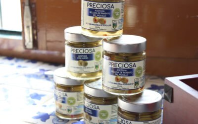 Cobelén, lanza sus primeras aceitunas con el sello de la IGP Aceitunas Manzanilla y Gordal de Sevilla