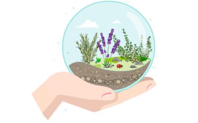 DiseñEN: nueva herramienta para el control biológico por conservación en el campo