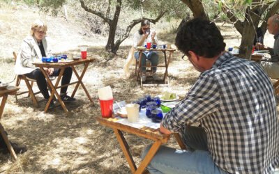 Un olivar ecológico, entorno para la celebración de Ecotrama 2021