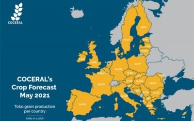 El comercio europeo prevé más trigo y maíz en la UE en la próxima campaña 2021/22