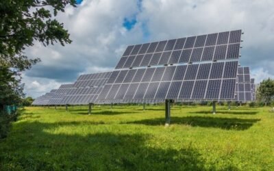 Reclaman una zonificación oficial de interés agrario para proteger el suelo de la invasión de grandes fotovoltaicas