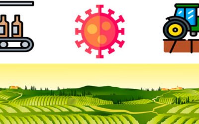 El Gobierno y las CCAA revisan el protocolo para prevenir brotes de COVID-19 en el sector agrario