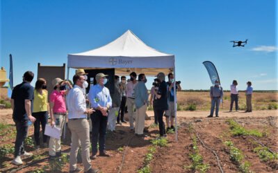 Hacienda Las Cárdenas se suma al programa internacional de Bayer ForwardFarming