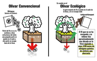 Materia, carbono y nitrógeno orgánicos en los olivares ecológicos de SUSTAINOLIVE