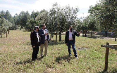 El Jardín de Variedades del Olivar en la Vía Verde del Aceite en Jaén