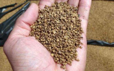 El #Ministerio para la Transición Ecológica aclara que el #hueso de #aceituna no es un residuo, es un #material #biomásico, #natural, #nopeligroso y que se utiliza para generar #energía sin poner en peligro la salud humana ni el medio ambiente.
https://www.mercacei.com/noticia/54707/actualidad/el-ministerio-para-la-transicion-ecologica-aclara-que-el-hueso-de-aceituna-no-es-un-residuo.html