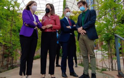 La Junta de Andalucía respaldará la construcción de un museo temático sobre el aceite de oliva en Ronda
