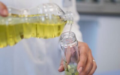 El MAPA somete a información pública la propuesta de extensión de norma del aceite de orujo de oliva