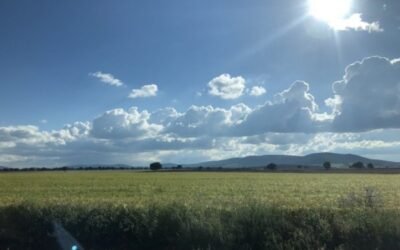 La política fiscal “diferenciada” se abre paso en la Ley 2/2021 contra la despoblación de Castilla-La Mancha