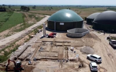 Weltec Biopower reduce las emisiones de CO2 en una explotación de vacas lecheras