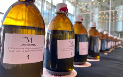 Las almazaras Finca La Torre, Hacienda de Colchado y Promociones Cimat Álora, galardonadas en la XX edición de los Premios al mejor AOVE de la provincia de Málaga