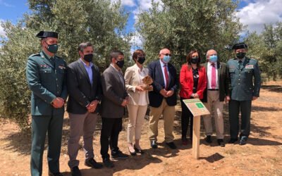 Presentación del proyecto de apadrinamiento de olivos «El aceite de la vida»