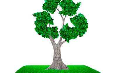 Impulso de productos innovadores y procesos de economía circular en las pymes alimentarias