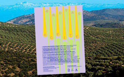 Rutas del Aceite: una experiencia única para disfrutar del oleoturismo en Jaén