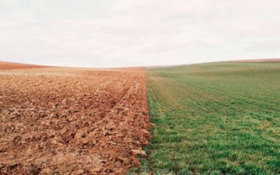 Decálogo de buenas prácticas agrícolas para mitigar el cambio climático y la erosión
