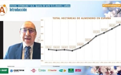 El sector de frutos secos de España trabaja para exportar a China y promocionar la almendra «ibérica»