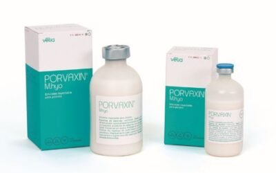 Vetia lanza la vacuna inactivada Porvaxin M.hyo